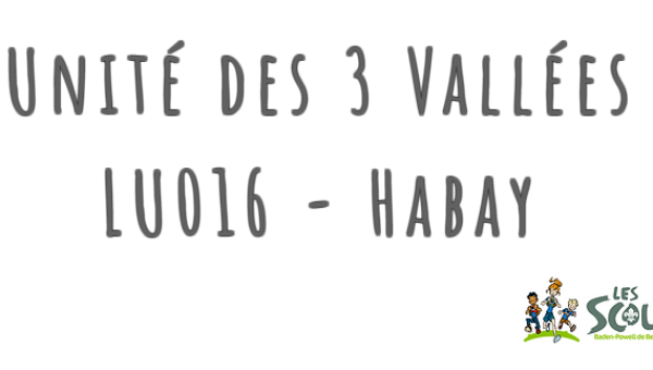 Soutien communal aux Scouts de Habay-la-Neuve : un engagement pour la jeunesse